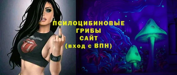 таблы Новозыбков