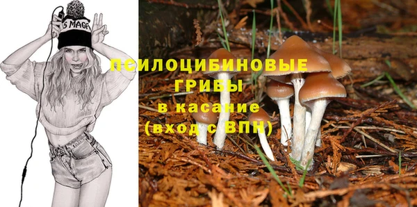 ECSTASY Вяземский