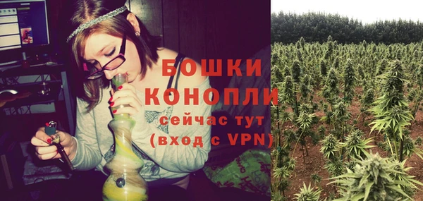 ECSTASY Вяземский