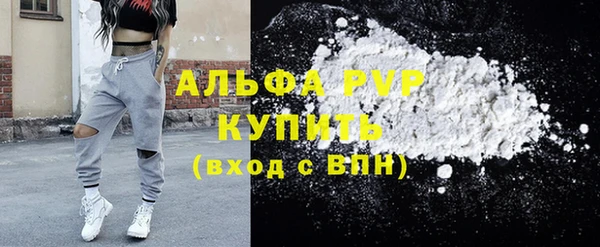ECSTASY Вяземский