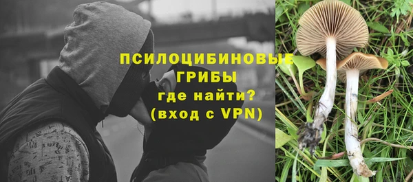 дмт Новодвинск