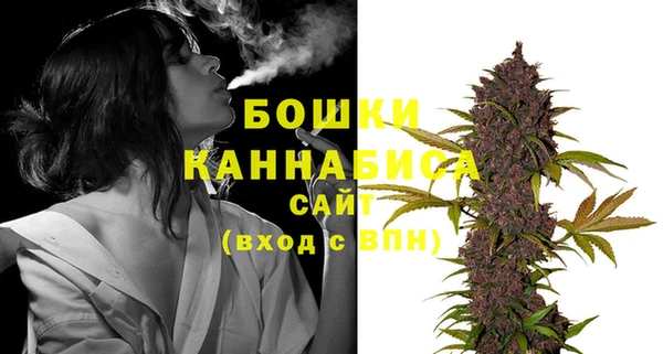 дмт Новодвинск