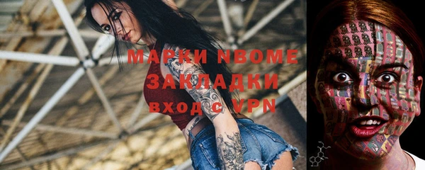таблы Новозыбков