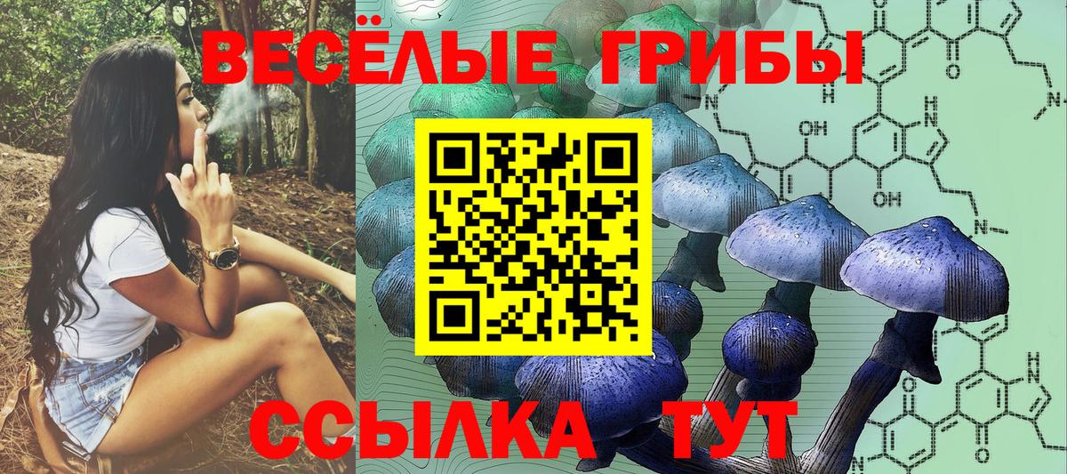 Галлюциногенные грибы Cubensis Тосно
