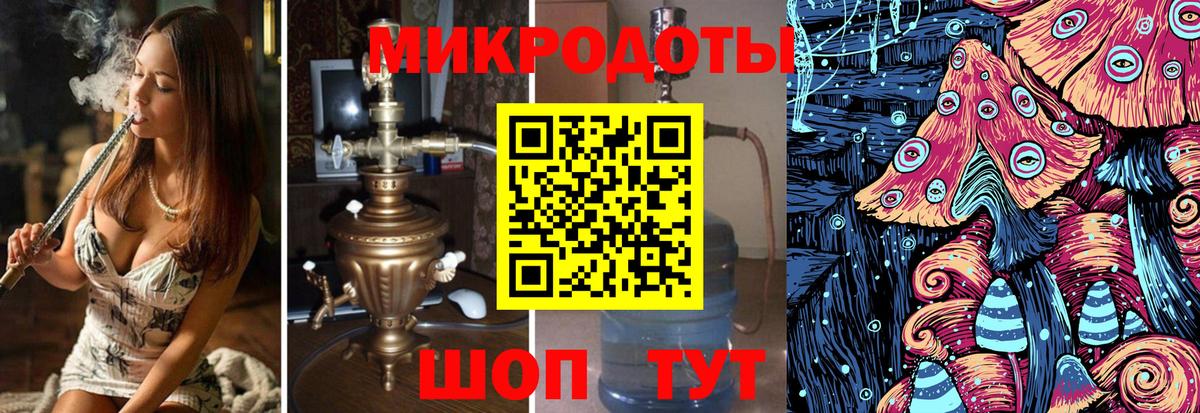 Галлюциногенные грибы Psilocybine cubensis  Тосно 