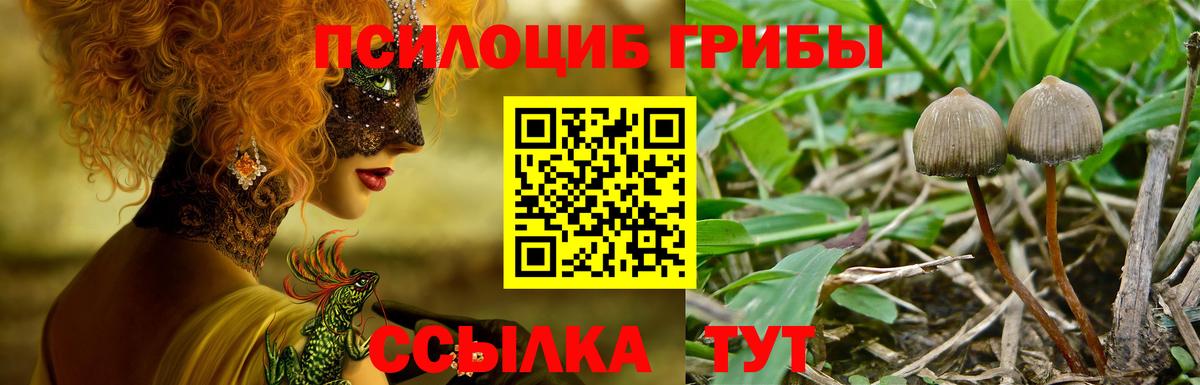 Тосно  Галлюциногенные грибы мухоморы  Вход с VPN 